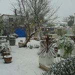 Her mevsim Alaçatı her mevsim Arven... #alacati #snow #wine #winter